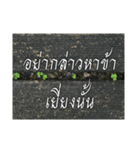 Thai Thai text 2（個別スタンプ：13）