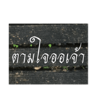 Thai Thai text 2（個別スタンプ：15）