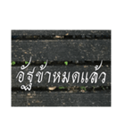 Thai Thai text 2（個別スタンプ：16）