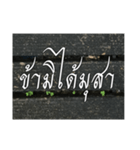 Thai Thai text 2（個別スタンプ：17）