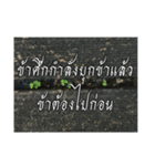 Thai Thai text 2（個別スタンプ：18）