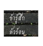 Thai Thai text 2（個別スタンプ：19）