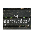 Thai Thai text 2（個別スタンプ：20）