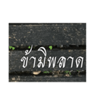 Thai Thai text 2（個別スタンプ：22）