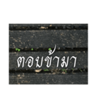 Thai Thai text 2（個別スタンプ：28）