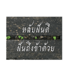 Thai Thai text 2（個別スタンプ：31）