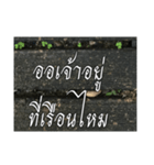 Thai Thai text 2（個別スタンプ：32）