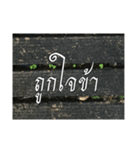 Thai Thai text 2（個別スタンプ：35）