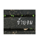 Thai Thai text 2（個別スタンプ：38）