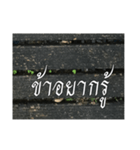 Thai Thai text 2（個別スタンプ：39）
