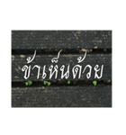 Thai Thai text 2（個別スタンプ：40）