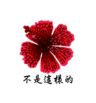 Red Hibiscus Flower drawing（個別スタンプ：2）