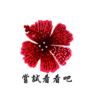 Red Hibiscus Flower drawing（個別スタンプ：4）