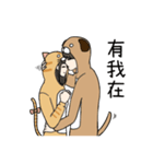 dogdog oppa＆catcat lady lovers daily（個別スタンプ：16）