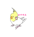 インコ 2（個別スタンプ：4）