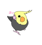 インコ 2（個別スタンプ：6）