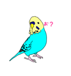 インコ 2（個別スタンプ：7）