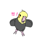 インコ 2（個別スタンプ：8）