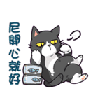 Moco is Nightcat（個別スタンプ：37）