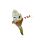 Ice cream inner world（個別スタンプ：15）