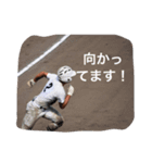 aoharubaseball（個別スタンプ：6）