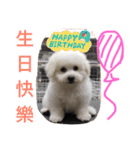 bichon ~（個別スタンプ：28）