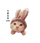 Cat LaLa go（個別スタンプ：7）