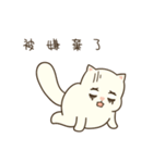 Pong Pong the Cat（個別スタンプ：24）