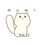 Pong Pong the Cat（個別スタンプ：31）