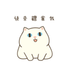 Pong Pong the Cat（個別スタンプ：40）