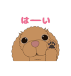 鼻ピンクなプードル犬♪1（個別スタンプ：2）