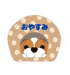 キャバリア犬♪ブレンハイム（白少なめ）1（個別スタンプ：11）