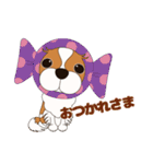 キャバリア犬♪ブレンハイム（白少なめ）1（個別スタンプ：24）