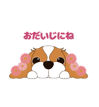 キャバリア犬♪ブレンハイム（白少なめ）1（個別スタンプ：26）