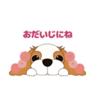 キャバリア犬♪ブレンハイム(白多め)1（個別スタンプ：26）