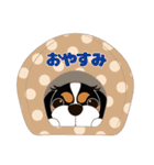 キャバリア犬♪トライカラー1（個別スタンプ：11）