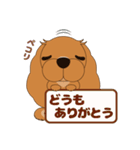 キャバリア犬♪ルビー1（個別スタンプ：6）