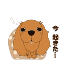 キャバリア犬♪ルビー1（個別スタンプ：9）