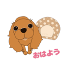 キャバリア犬♪ルビー1（個別スタンプ：10）