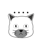 Single face cat (ENG)（個別スタンプ：1）