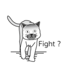 Single face cat (ENG)（個別スタンプ：6）