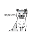 Single face cat (ENG)（個別スタンプ：11）