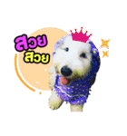 Doggiedoo（個別スタンプ：3）