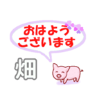 畑「はたけ」さん専用。日常会話（個別スタンプ：1）