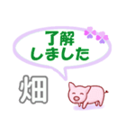 畑「はたけ」さん専用。日常会話（個別スタンプ：4）