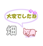 畑「はたけ」さん専用。日常会話（個別スタンプ：13）