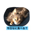 大切な私の犬 2（個別スタンプ：1）