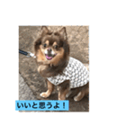 大切な私の犬 2（個別スタンプ：10）