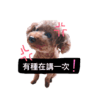 MonkeyMilobabyDog（個別スタンプ：2）