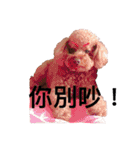 MonkeyMilobabyDog（個別スタンプ：11）